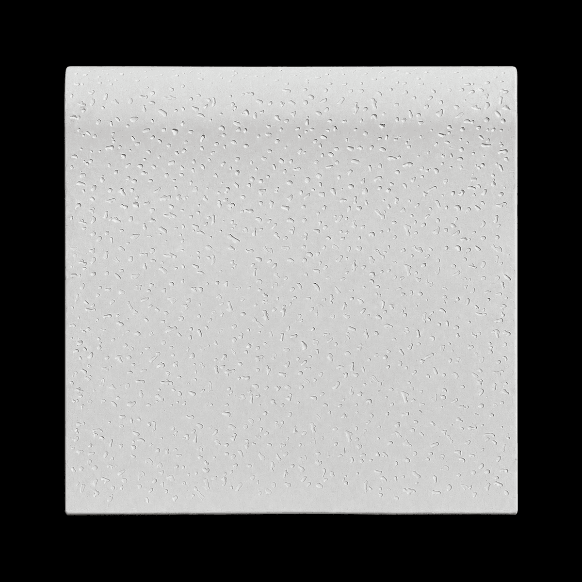 BORDE BALLENA 50X50
