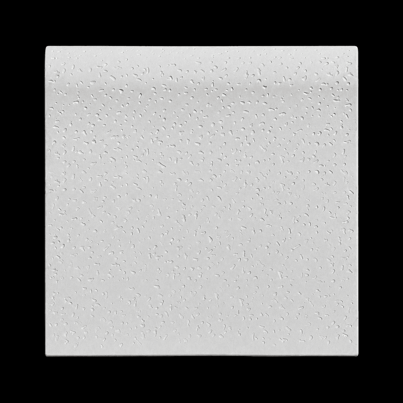 BORDE BALLENA 50X50